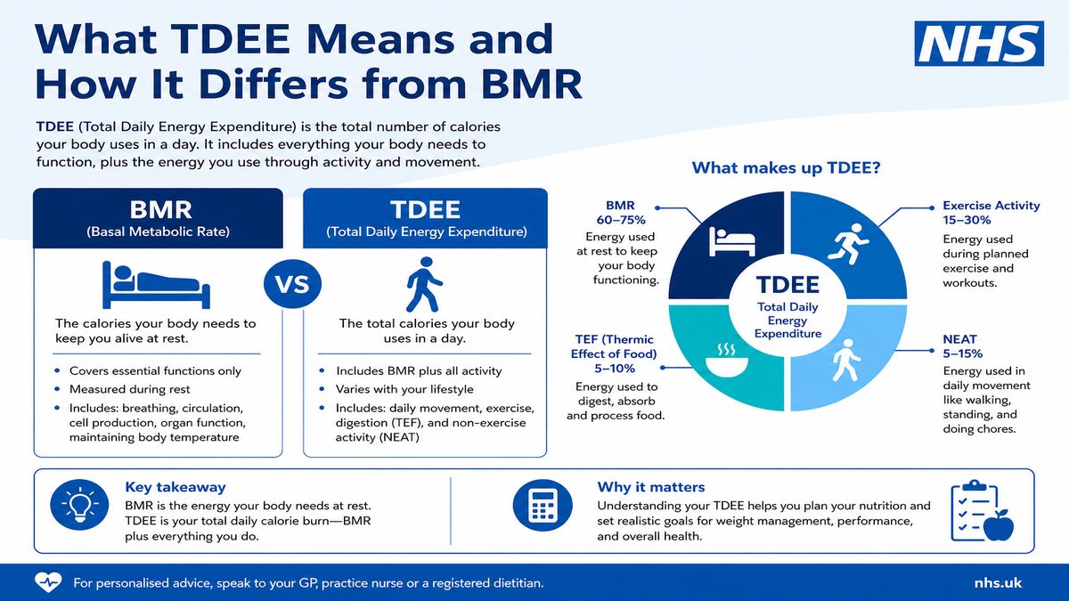 Infographic explaining What TDEE Means and How It Differs from BMR for NHS pay and benefits — covers: What TDEE Means and How It Differs from BMR.
